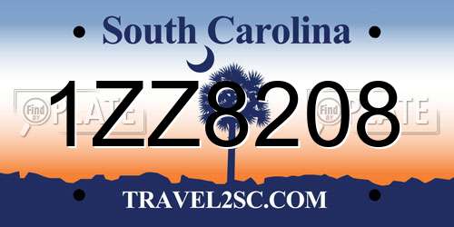 1ZZ8208 South Carolina License Plate