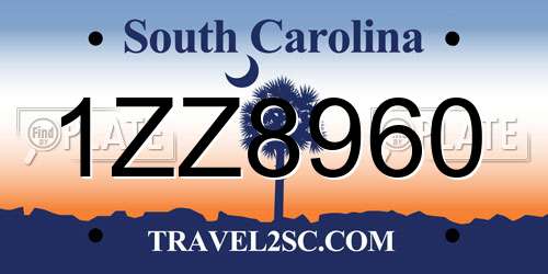1ZZ8960 South Carolina License Plate