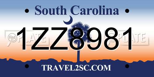 1ZZ8981 South Carolina License Plate