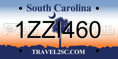 1ZZI460 South Carolina License Plate