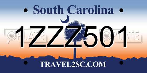 1ZZZ501 South Carolina License Plate