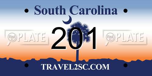 201 South Carolina License Plate