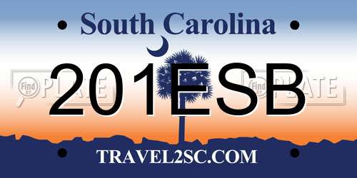 201ESB South Carolina License Plate