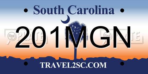201MGN South Carolina License Plate