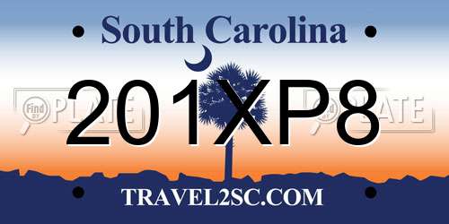 201XP8 South Carolina License Plate
