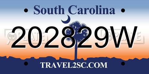 202829W South Carolina License Plate