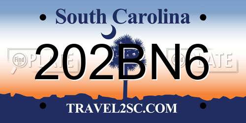 202BN6 South Carolina License Plate