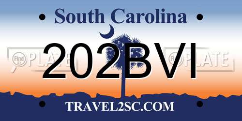 202BVI South Carolina License Plate