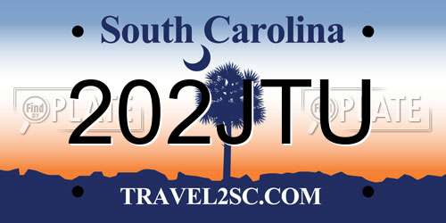 202JTU South Carolina License Plate