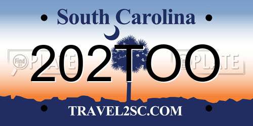 202TOO South Carolina License Plate