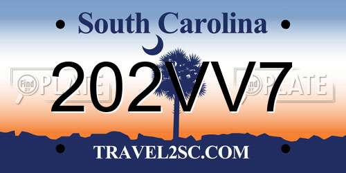 202VV7 South Carolina License Plate