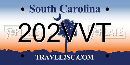 202VVT South Carolina License Plate