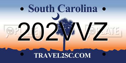 202VVZ South Carolina License Plate