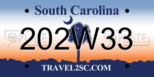 202W33 South Carolina License Plate
