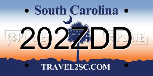 202ZDD South Carolina License Plate