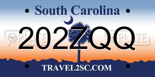 202ZQQ South Carolina License Plate