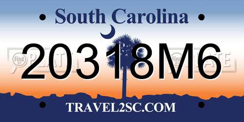20318M6 South Carolina License Plate