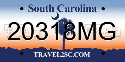 20318MG South Carolina License Plate