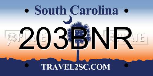 203BNR South Carolina License Plate