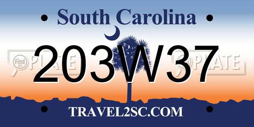 203W37 South Carolina License Plate