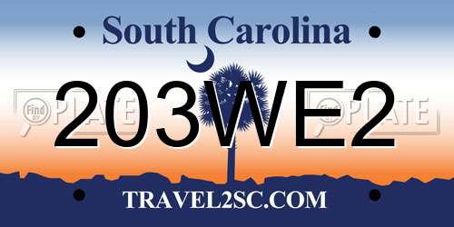 203WE2 South Carolina License Plate