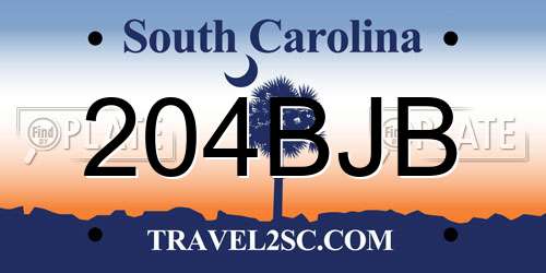 204BJB South Carolina License Plate