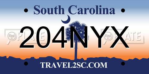 204NYX South Carolina License Plate
