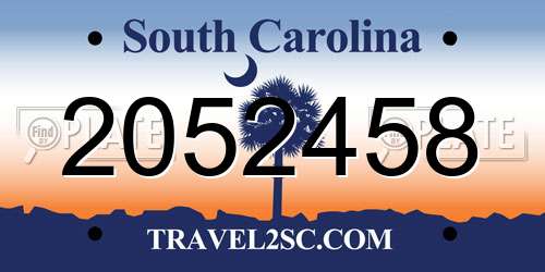2052458 South Carolina License Plate