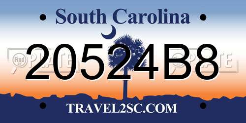 20524B8 South Carolina License Plate