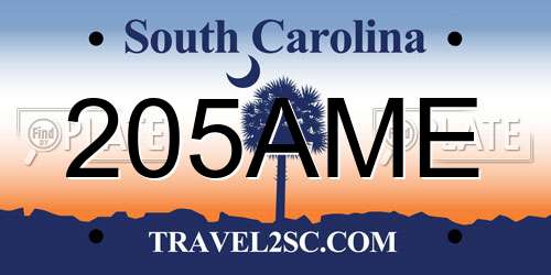 205AME South Carolina License Plate