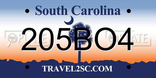 205BO4 South Carolina License Plate