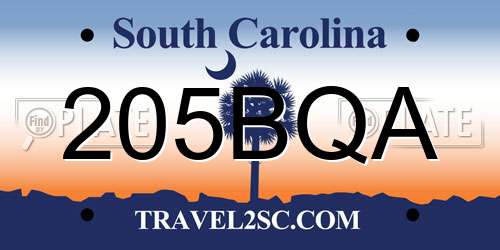 205BQA South Carolina License Plate
