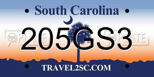 205GS3 South Carolina License Plate
