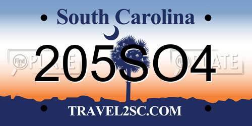 205SO4 South Carolina License Plate