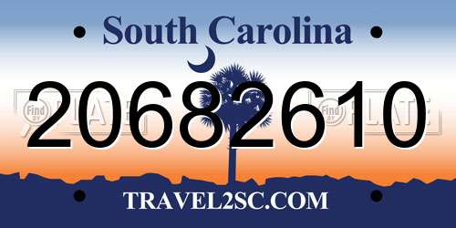 20682610 South Carolina License Plate