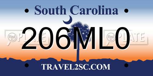 206ML0 South Carolina License Plate