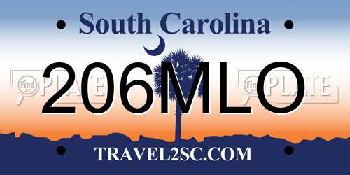 206MLO South Carolina License Plate