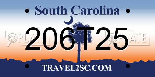 206T25 South Carolina License Plate