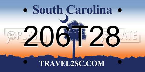 206T28 South Carolina License Plate