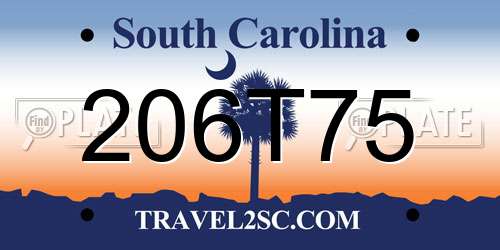 206T75 South Carolina License Plate