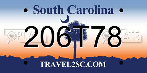 206T78 South Carolina License Plate