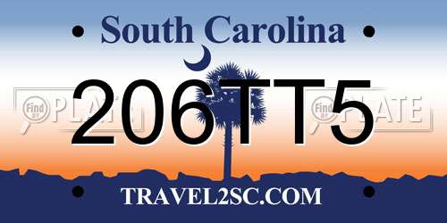 206TT5 South Carolina License Plate
