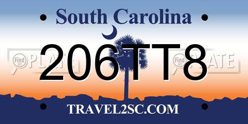 206TT8 South Carolina License Plate