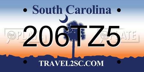 206TZ5 South Carolina License Plate