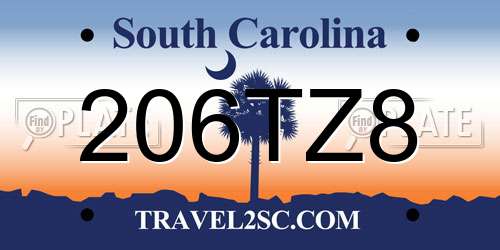 206TZ8 South Carolina License Plate
