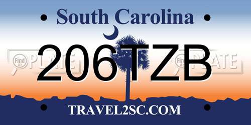 206TZB South Carolina License Plate