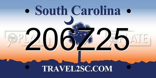 206Z25 South Carolina License Plate