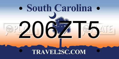 206ZT5 South Carolina License Plate
