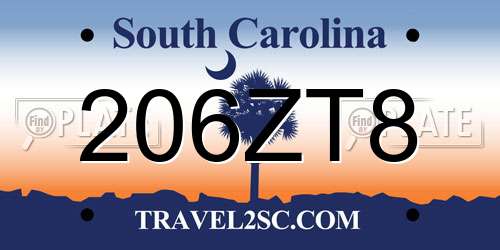 206ZT8 South Carolina License Plate