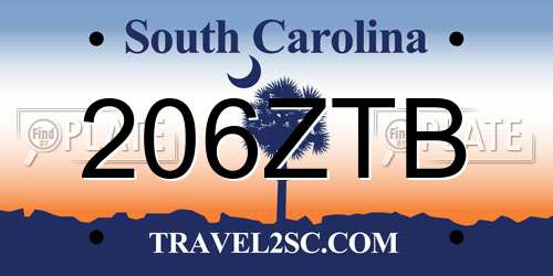 206ZTB South Carolina License Plate